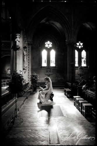 &copy; Scott Gilbert