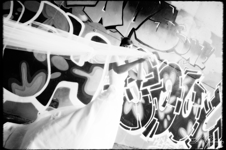 &copy; Scott Gilbert