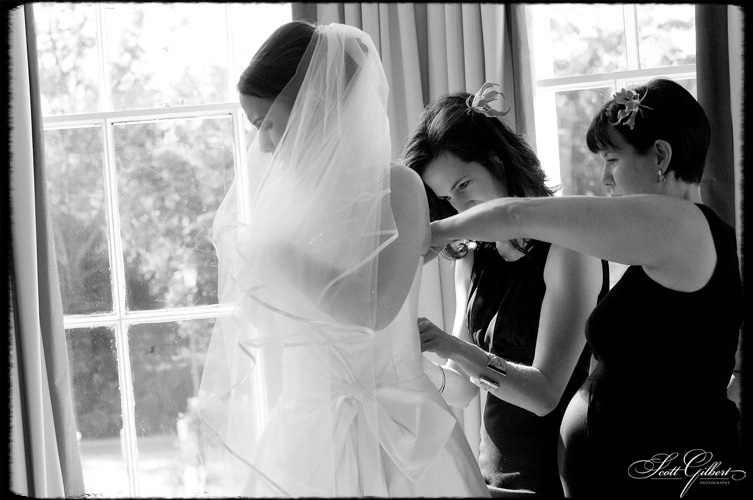 &copy; Scott Gilbert