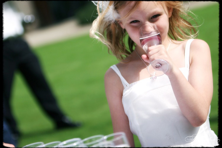 &copy; Scott Gilbert