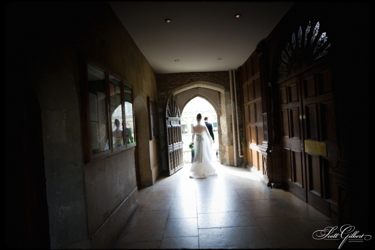 &copy; Scott Gilbert