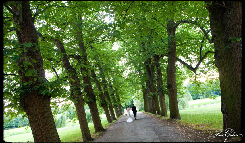 &copy; Scott Gilbert