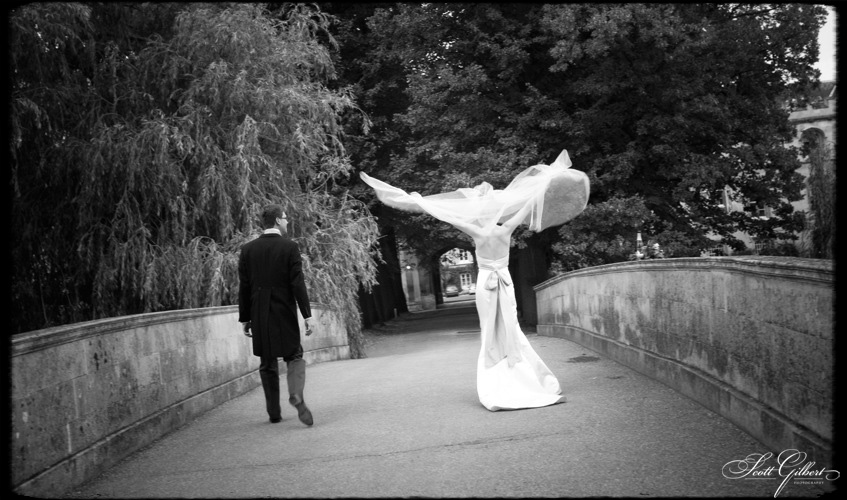 &copy; Scott Gilbert