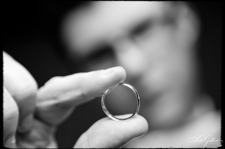 &copy; Scott Gilbert