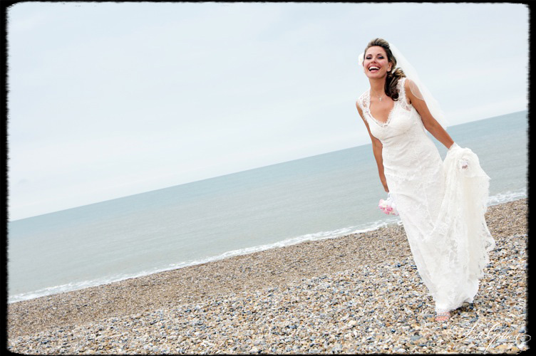 &copy; Scott Gilbert