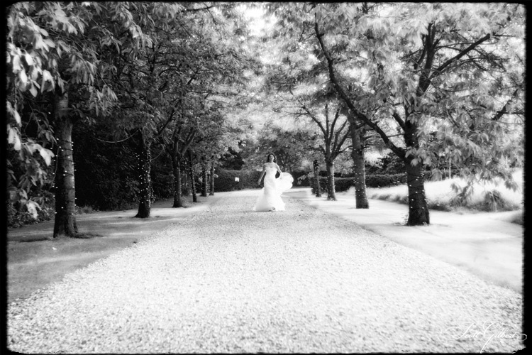 &copy; Scott Gilbert