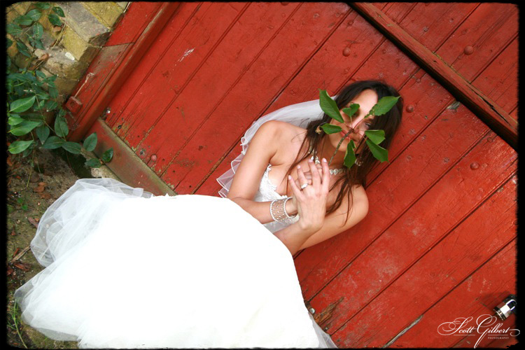 &copy; Scott Gilbert