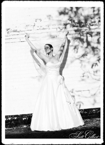 &copy; Scott Gilbert