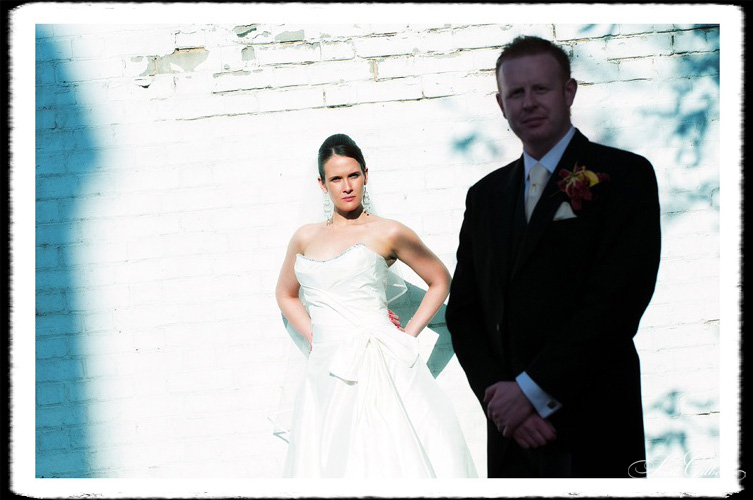 &copy; Scott Gilbert