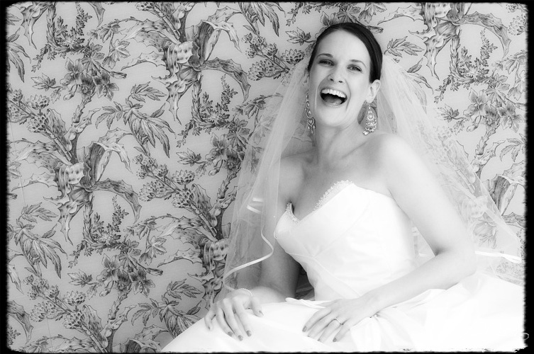 &copy; Scott Gilbert