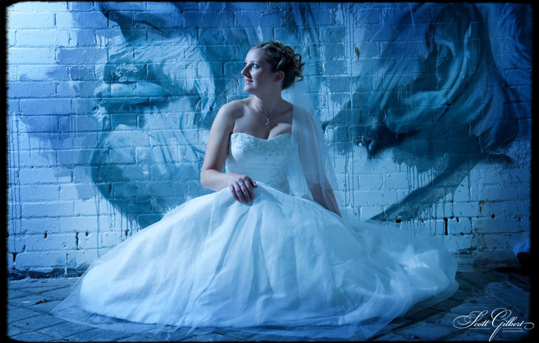 &copy; Scott Gilbert