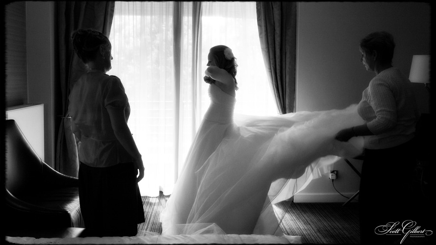 &copy; Scott Gilbert