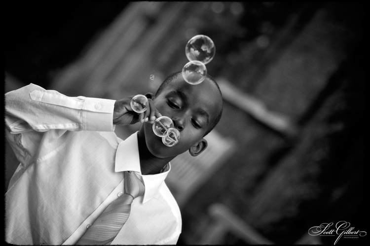 &copy; Scott Gilbert