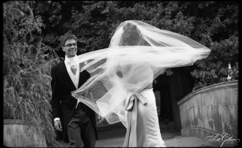 &copy; Scott Gilbert