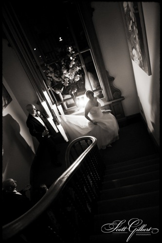 &copy; Scott Gilbert