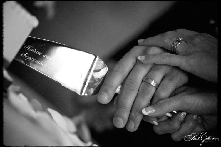 &copy; Scott Gilbert