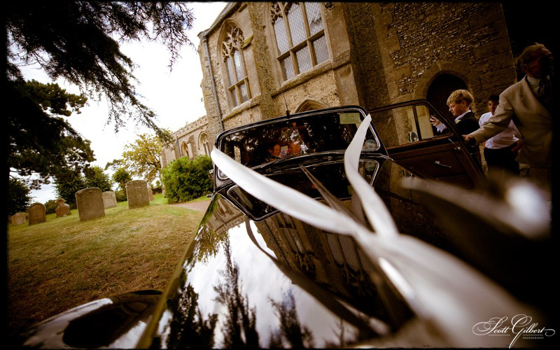 &copy; Scott Gilbert