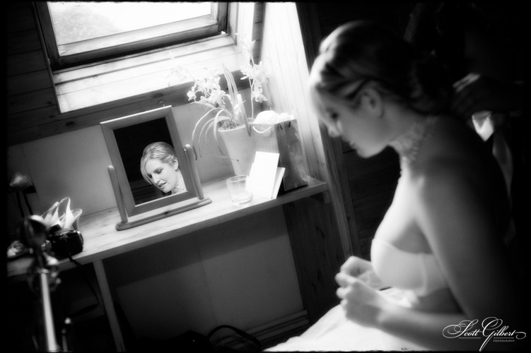 &copy; Scott Gilbert