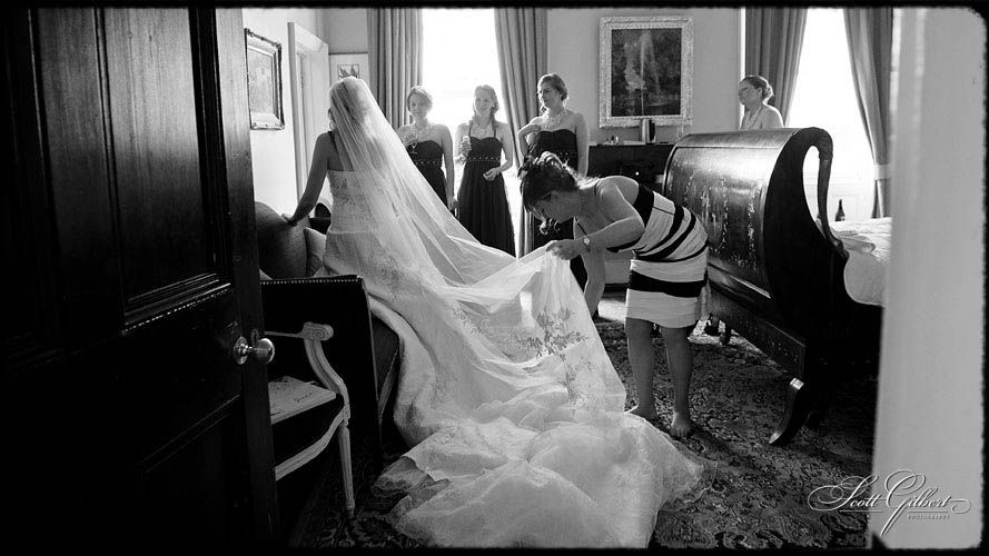 &copy; Scott Gilbert