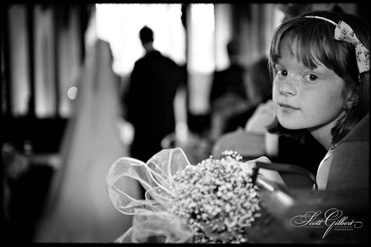 &copy; Scott Gilbert