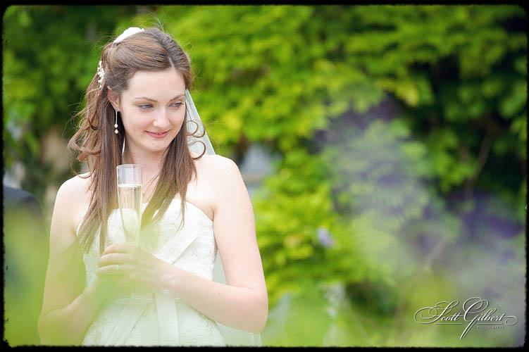 &copy; Scott Gilbert