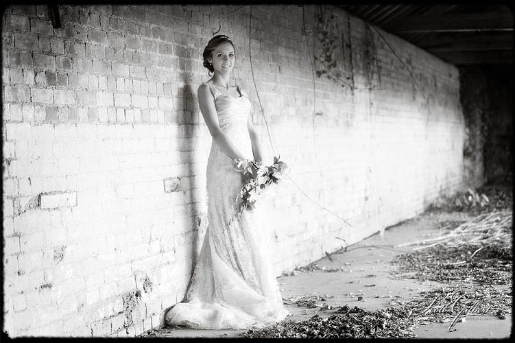 &copy; Scott Gilbert