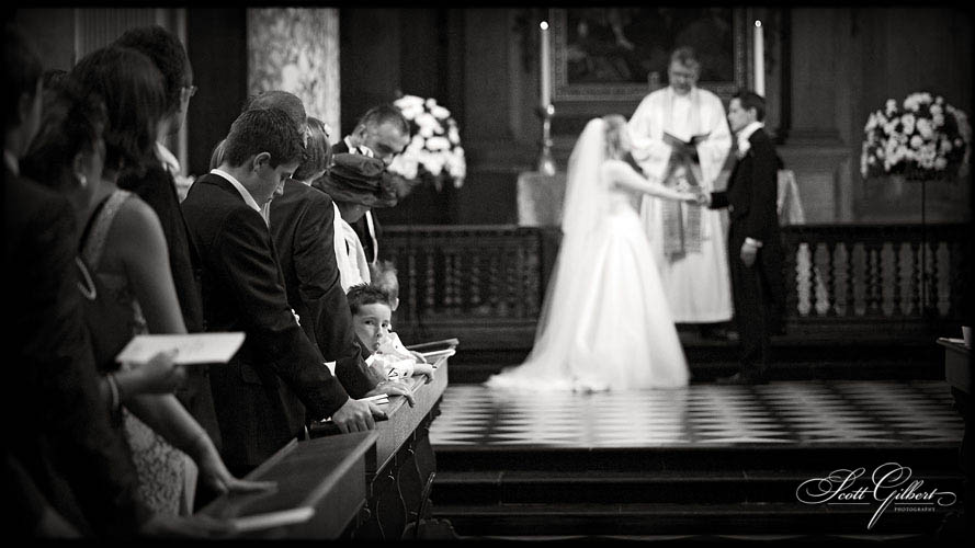 &copy; Scott Gilbert