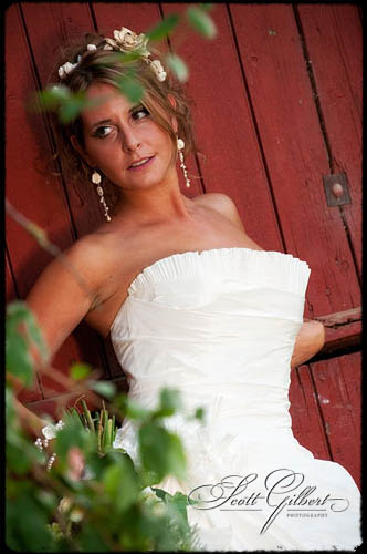 &copy; Scott Gilbert