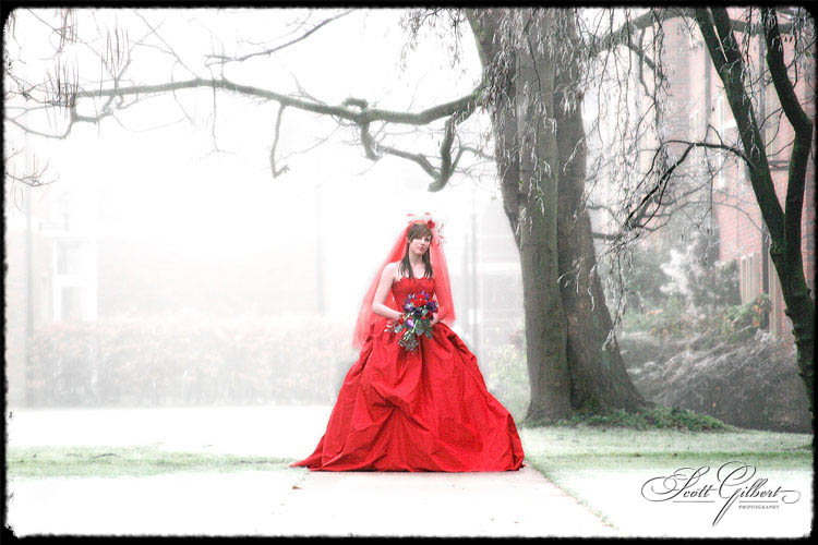 &copy; Scott Gilbert