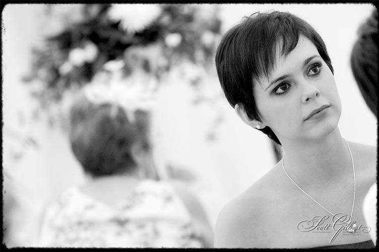 &copy; Scott Gilbert