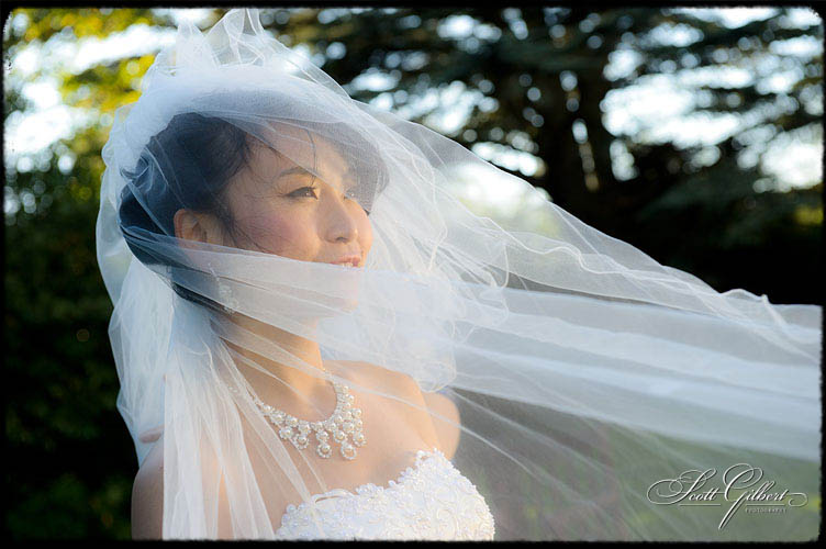 &copy; Scott Gilbert