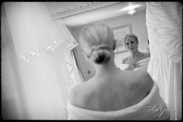 &copy; Scott Gilbert