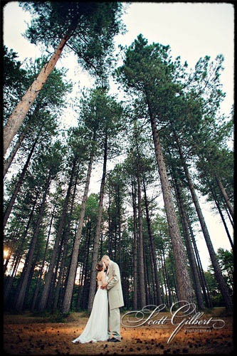 &copy; Scott Gilbert