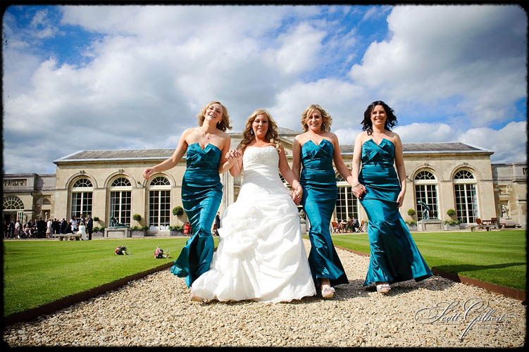 &copy; Scott Gilbert