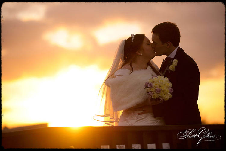 &copy; Scott Gilbert