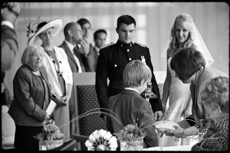 &copy; Scott Gilbert