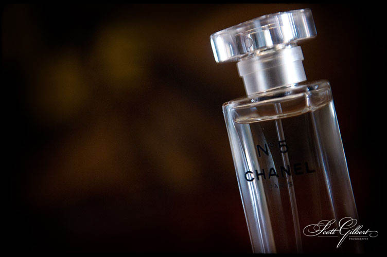 &copy; Scott Gilbert