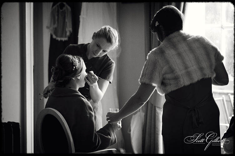 &copy; Scott Gilbert