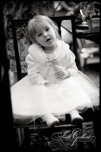 &copy; Scott Gilbert