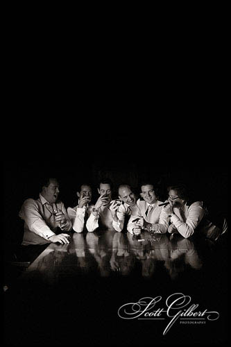 &copy; Scott Gilbert