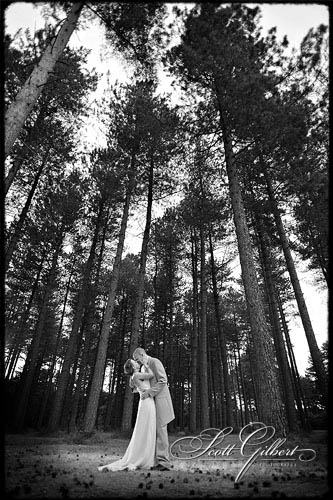 &copy; Scott Gilbert