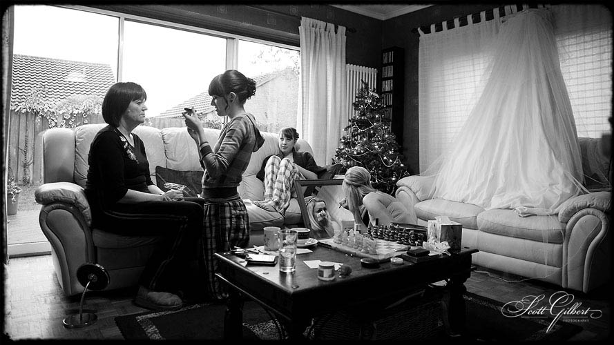 &copy; Scott Gilbert