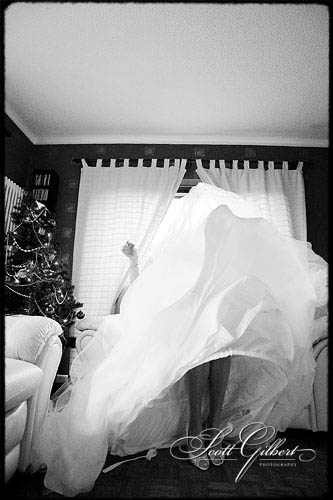 &copy; Scott Gilbert