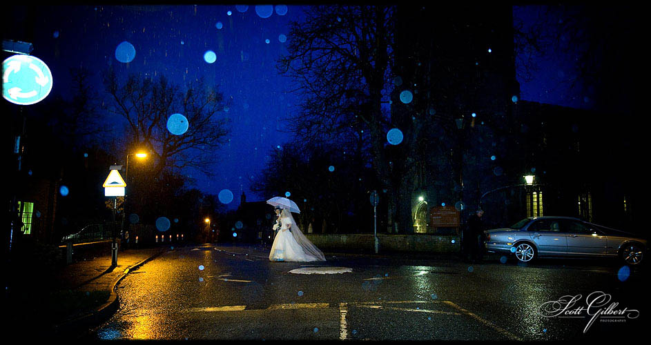 &copy; Scott Gilbert