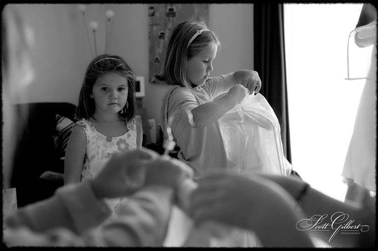 &copy; Scott Gilbert