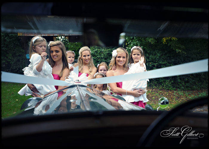 &copy; Scott Gilbert