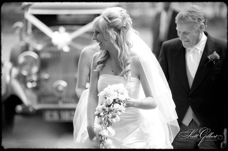 &copy; Scott Gilbert