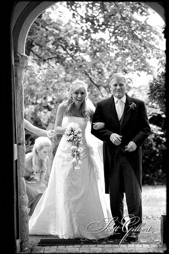 &copy; Scott Gilbert