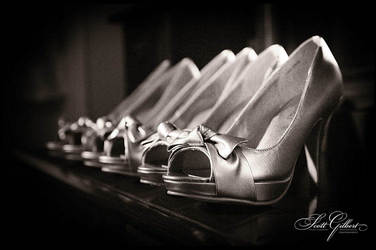 &copy; Scott Gilbert