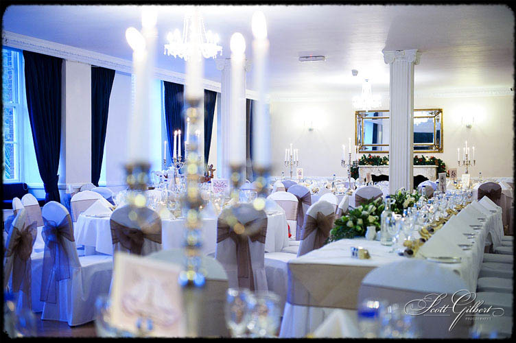 &copy; Scott Gilbert